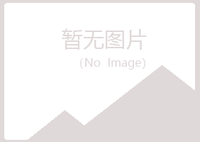 青海晓夏咨询有限公司